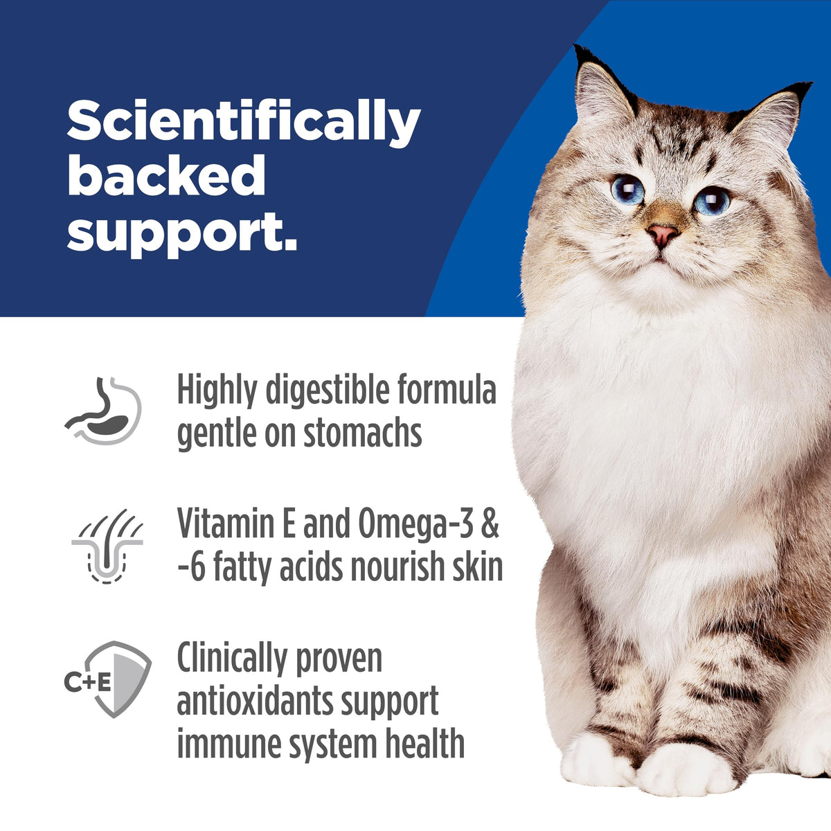 Hill's Science Diet Sensitive Stomach & Skin Dry Cat Food | #1 Veterinarian Recommended, Adult Formula, Chicken & Rice, 7 lb. Bag (Updated Formula)