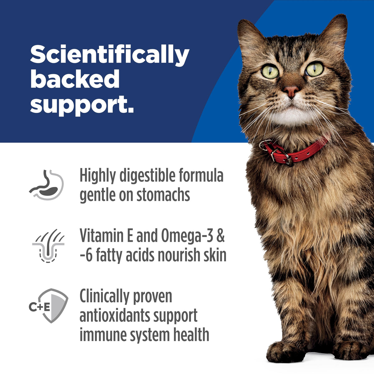 Hill's Science Diet Sensitive Stomach & Skin Dry Cat Food | #1 Veterinarian Recommended, Adult Formula, Chicken & Rice, 7 lb. Bag (Updated Formula)